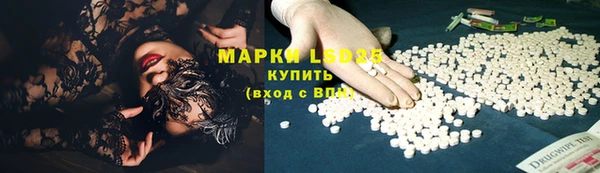 ПСИЛОЦИБИНОВЫЕ ГРИБЫ Алзамай