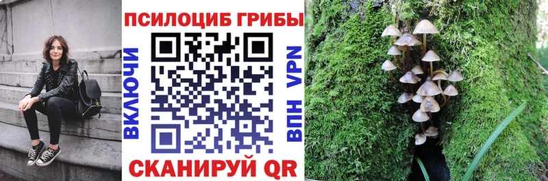 магазин продажи   Кумертау  Псилоцибиновые грибы Magic Shrooms 