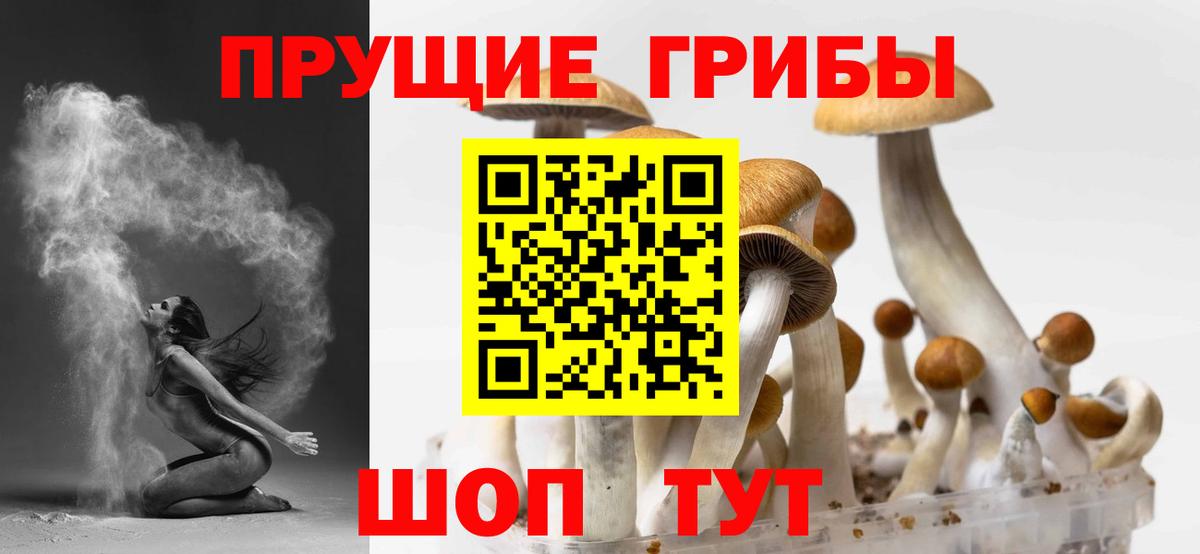 Галлюциногенные грибы GOLDEN TEACHER Кумертау